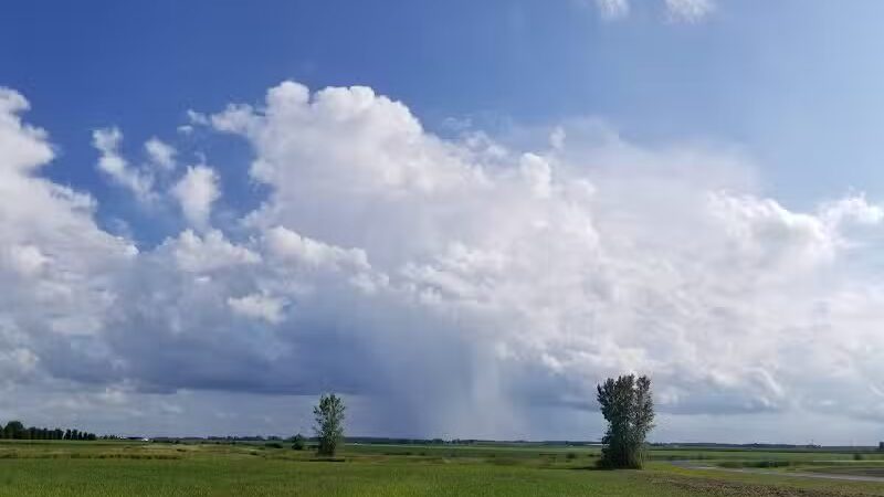 Woof Run Dog Park - Sugar Grove, IL