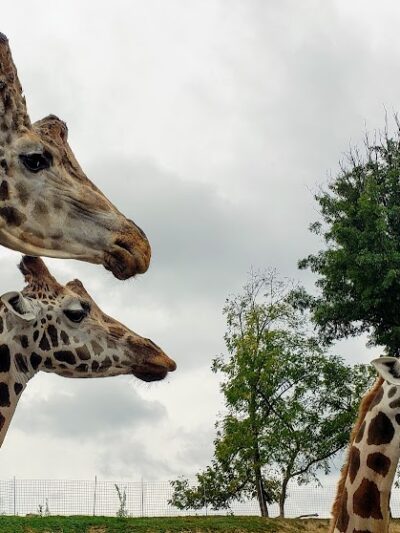 The Farm At Walnut Creek - Sugarcreek, OH