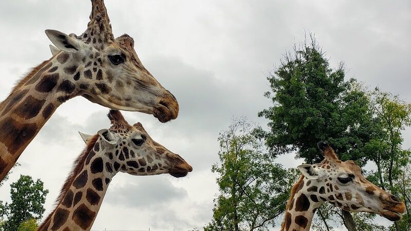 The Farm At Walnut Creek - Sugarcreek, OH