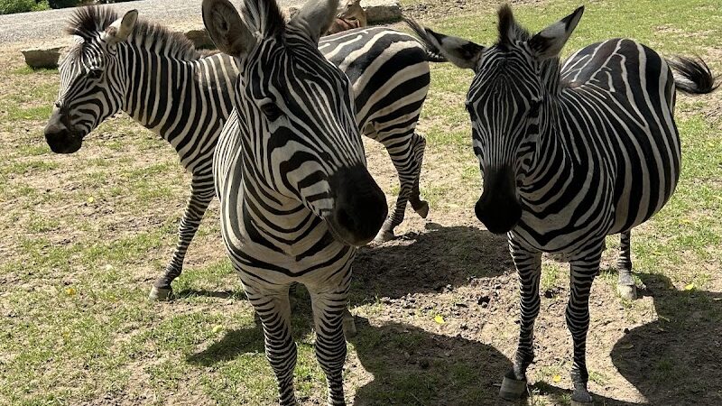 The Farm At Walnut Creek - Sugarcreek, OH