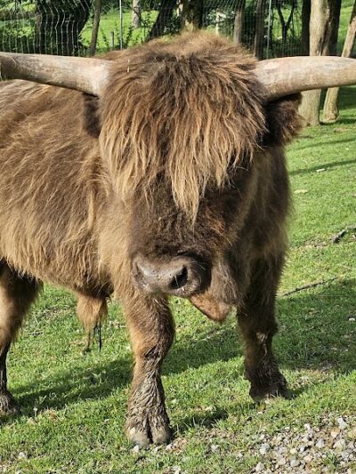 The Farm At Walnut Creek - Sugarcreek, OH