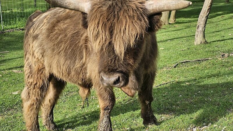 The Farm At Walnut Creek - Sugarcreek, OH