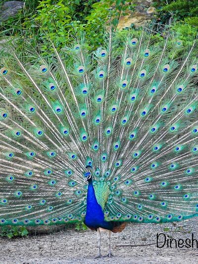 The Farm At Walnut Creek - Sugarcreek, OH