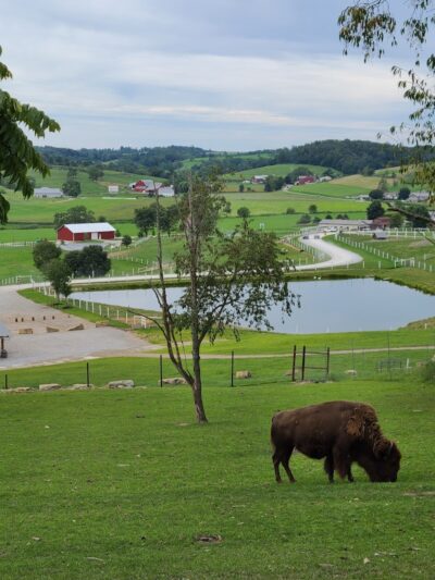 The Farm At Walnut Creek - Sugarcreek, OH