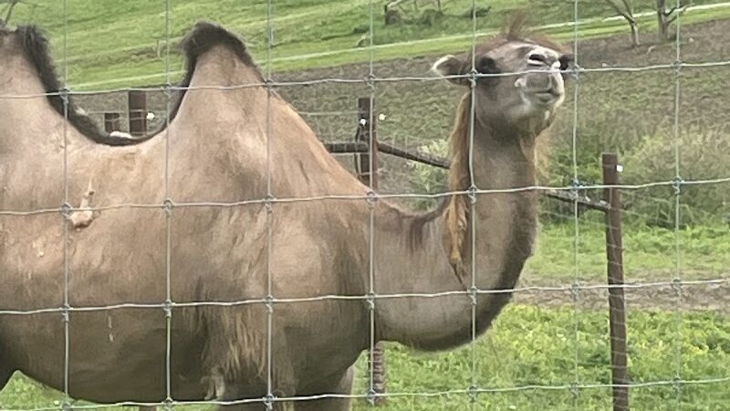 The Farm At Walnut Creek - Sugarcreek, OH
