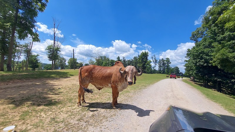 The Farm At Walnut Creek - Sugarcreek, OH
