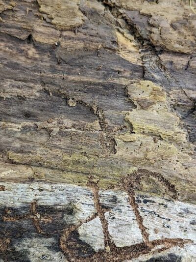 Bill Yeck Park - McGuffey Meadows - Sugarcreek Township, OH