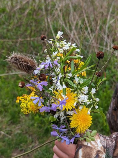 Bill Yeck Park - McGuffey Meadows - Sugarcreek Township, OH