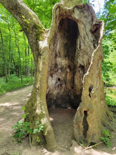 Sweet Arrow Reserve - Sugarcreek Township, OH