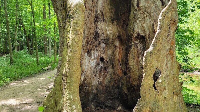 Sweet Arrow Reserve - Sugarcreek Township, OH