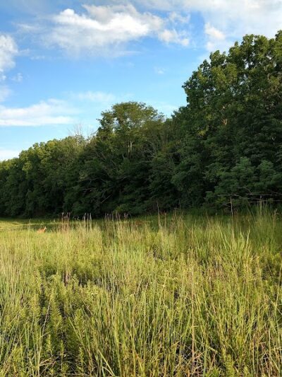 Sweet Arrow Reserve - Sugarcreek Township, OH