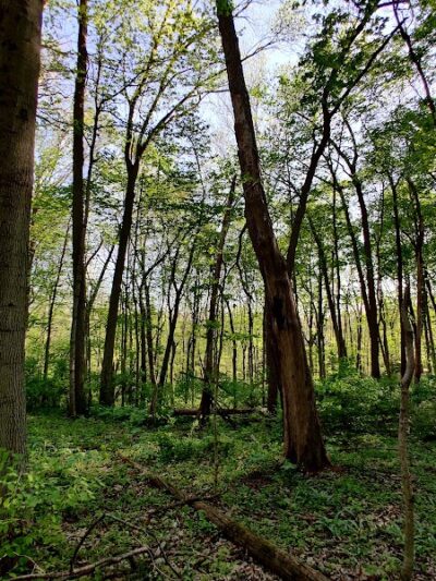 Sweet Arrow Reserve - Sugarcreek Township, OH