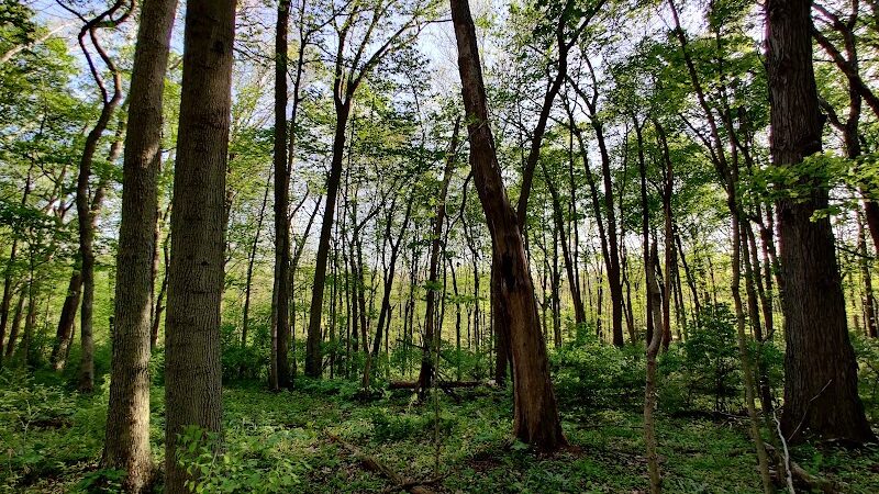 Sweet Arrow Reserve - Sugarcreek Township, OH