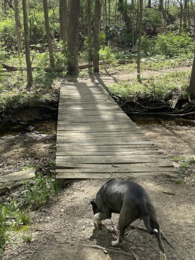 Sweet Arrow Reserve - Sugarcreek Township, OH