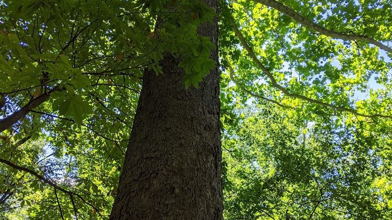 Sweet Arrow Reserve - Sugarcreek Township, OH