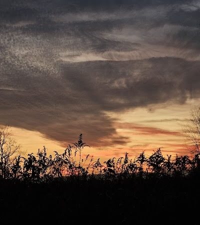 Sweet Arrow Reserve - Sugarcreek Township, OH