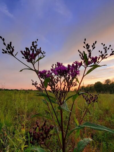 Sweet Arrow Reserve - Sugarcreek Township, OH