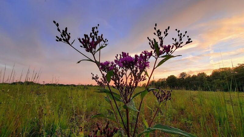 Sweet Arrow Reserve - Sugarcreek Township, OH