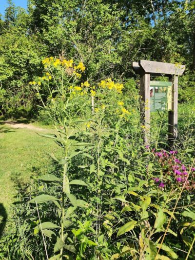 Sweet Arrow Reserve - Sugarcreek Township, OH