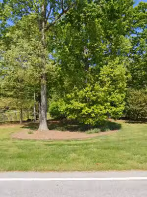 Summerfield Paw Park - Summerfield, NC