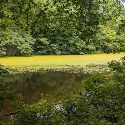 Hogback Ridge Park - Sunbury, OH