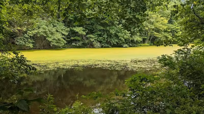 Hogback Ridge Park - Sunbury, OH