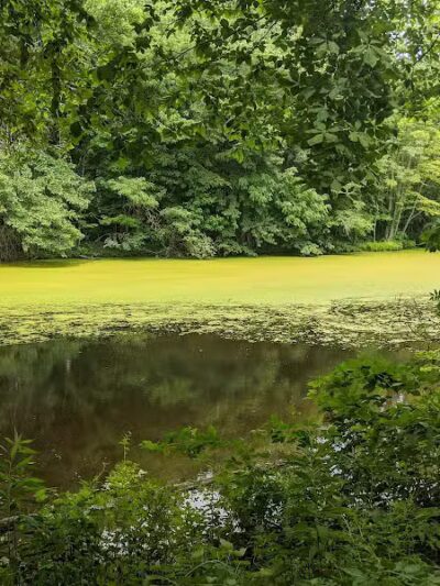 Hogback Ridge Park - Sunbury, OH