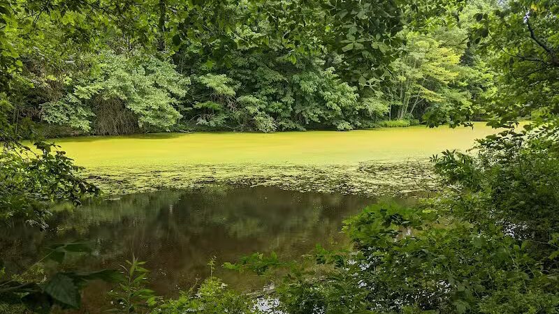 Hogback Ridge Park - Sunbury, OH
