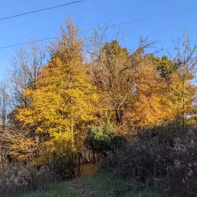 Hogback Ridge Park - Sunbury, OH