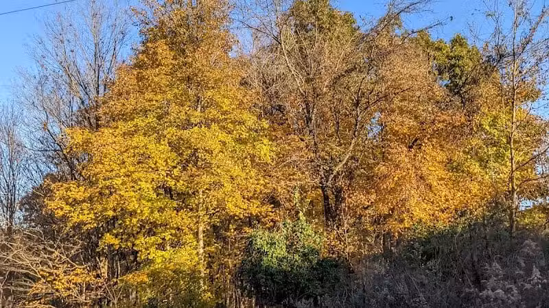 Hogback Ridge Park - Sunbury, OH