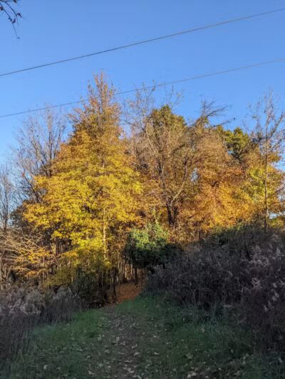 Hogback Ridge Park - Sunbury, OH