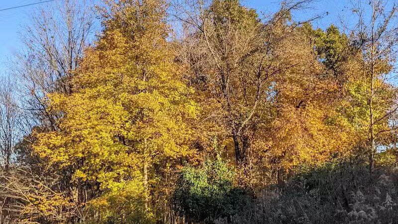 Hogback Ridge Park - Sunbury, OH