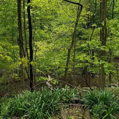 Hogback Ridge Park - Sunbury, OH