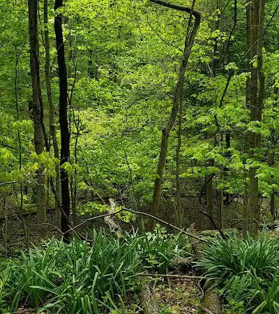 Hogback Ridge Park - Sunbury, OH