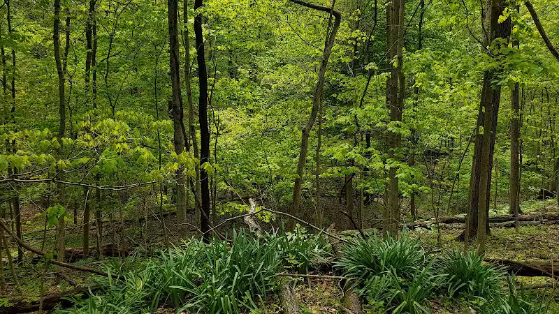 Hogback Ridge Park - Sunbury, OH