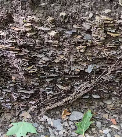 Hogback Trails - Sunbury, OH