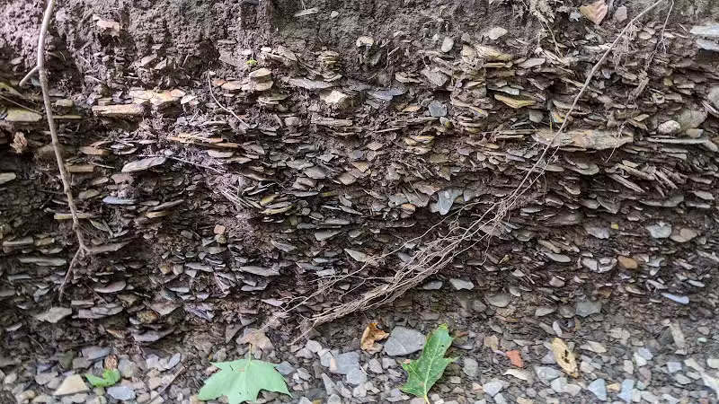 Hogback Trails - Sunbury, OH