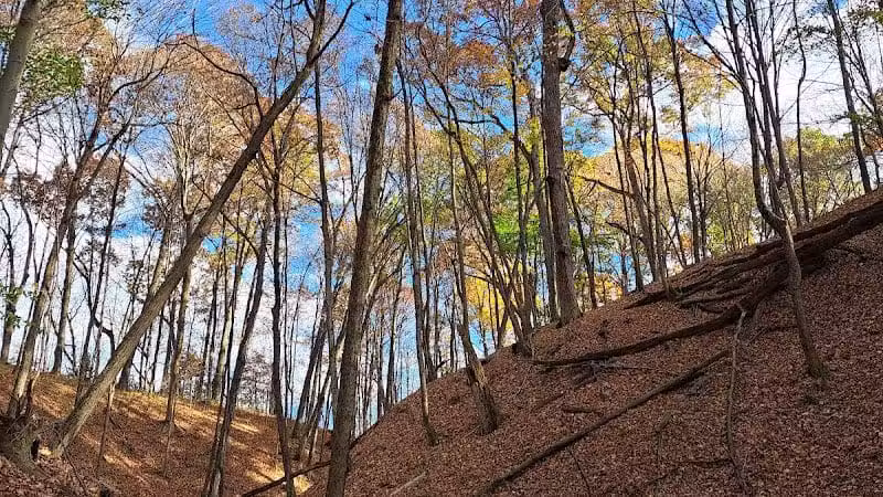 Hogback Trails Parking Area and Trailhead - Sunbury, OH