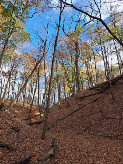 Hogback Trails Parking Area and Trailhead - Sunbury, OH