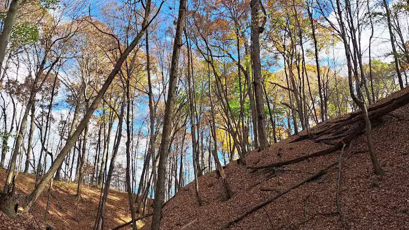 Hogback Trails Parking Area and Trailhead - Sunbury, OH