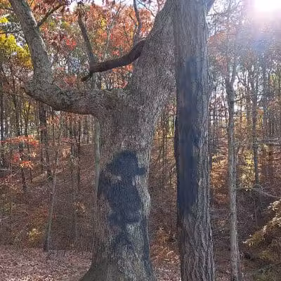 Hogback Trails Parking Area and Trailhead - Sunbury, OH