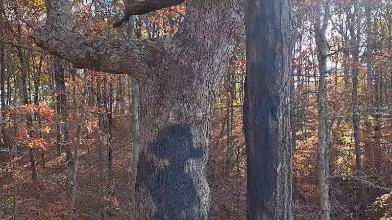 Hogback Trails Parking Area and Trailhead - Sunbury, OH