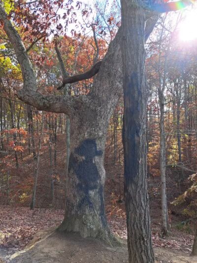 Hogback Trails Parking Area and Trailhead - Sunbury, OH