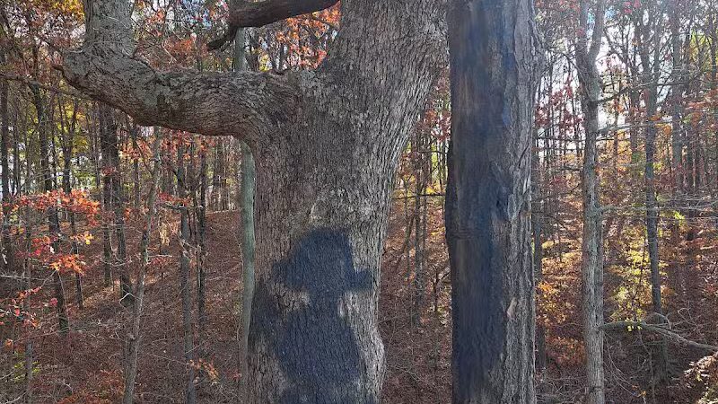 Hogback Trails Parking Area and Trailhead - Sunbury, OH