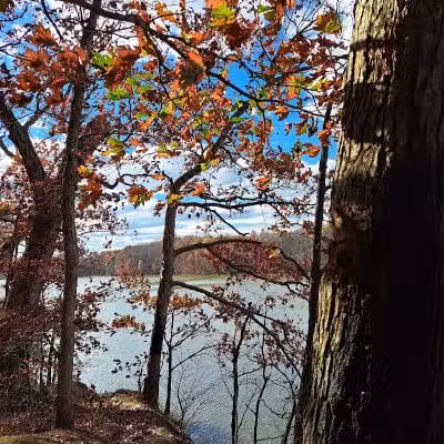Hogback Trails Parking Area and Trailhead - Sunbury, OH
