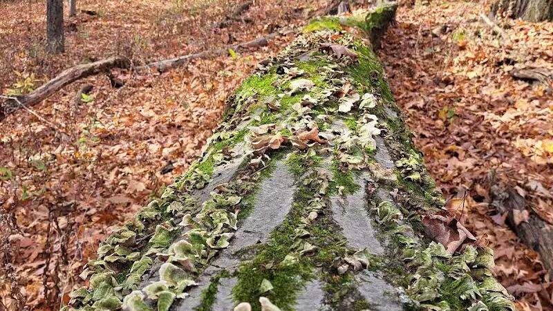 Hogback Trails Parking Area and Trailhead - Sunbury, OH