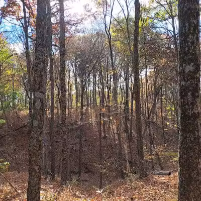 Hogback Trails Parking Area and Trailhead - Sunbury, OH