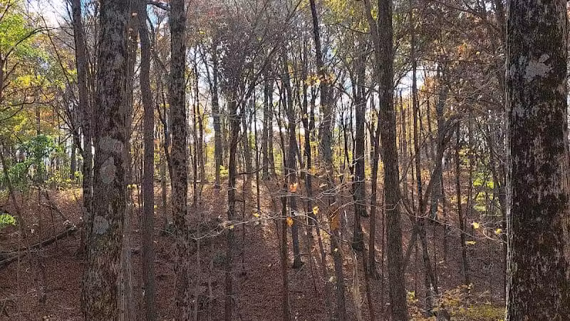 Hogback Trails Parking Area and Trailhead - Sunbury, OH