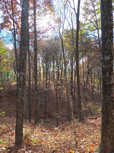 Hogback Trails Parking Area and Trailhead - Sunbury, OH