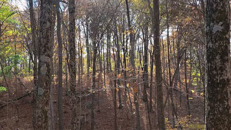 Hogback Trails Parking Area and Trailhead - Sunbury, OH